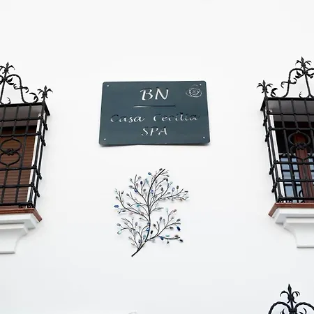 Bn Casa Cecilia Holiday home *